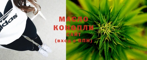 стаф Белая Холуница