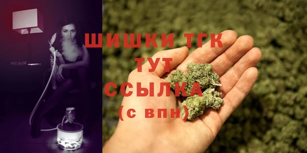 стаф Белая Холуница