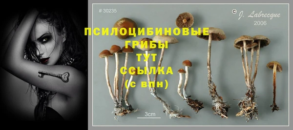 мет Бежецк