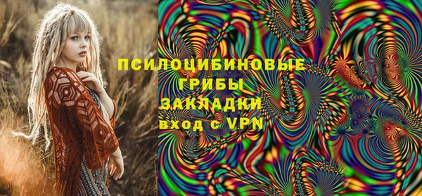 стаф Белая Холуница