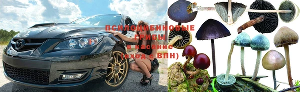 стафф Ахтубинск