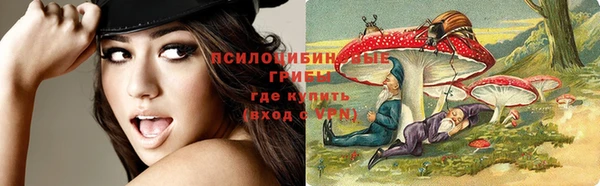 a pvp Белая Калитва