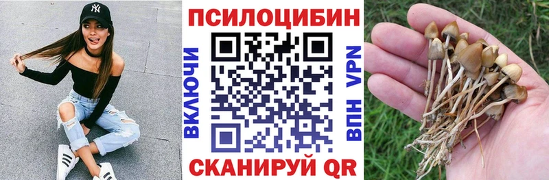 Псилоцибиновые грибы мухоморы  Каменка 