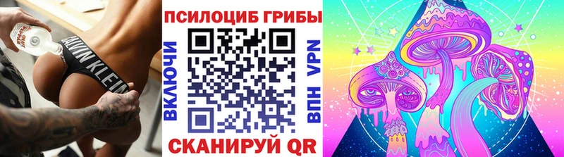 Галлюциногенные грибы мухоморы Каменка