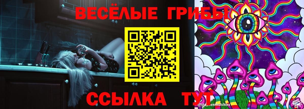 Псилоцибиновые грибы ЛСД  как найти закладки  Каменка  Псилоцибиновые грибы мухоморы 